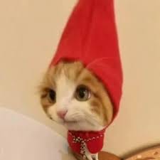 سارا خان avatar